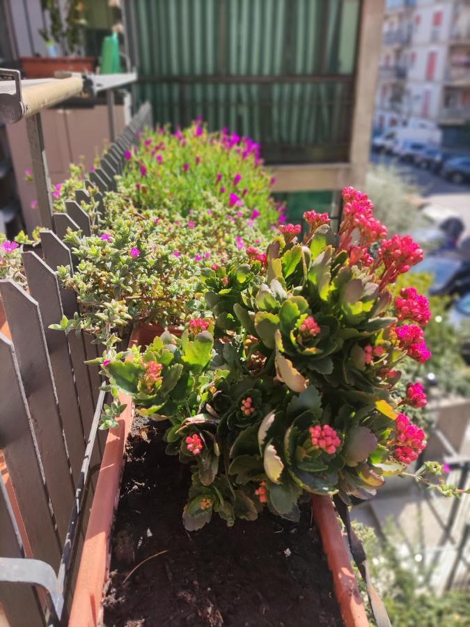 La Casa Dei Nonni Apartamento Roma