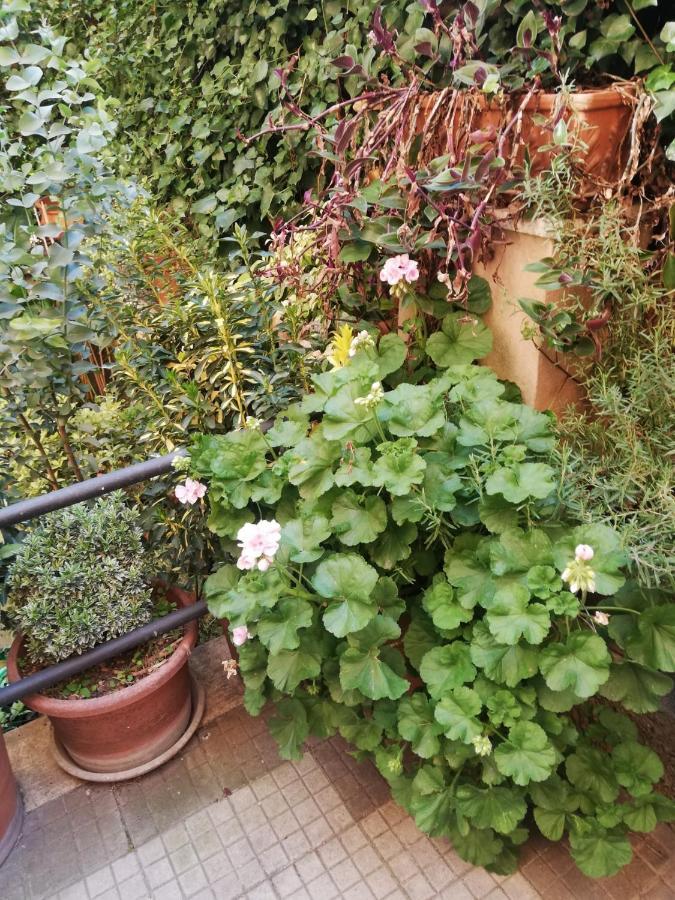 Tra Gianicolo E Trastevere Bed & Breakfast Roma