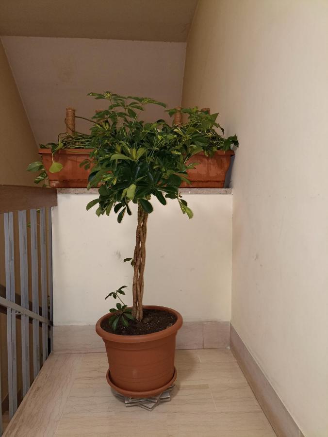 Apartamento A&c Talenti Diamond *
