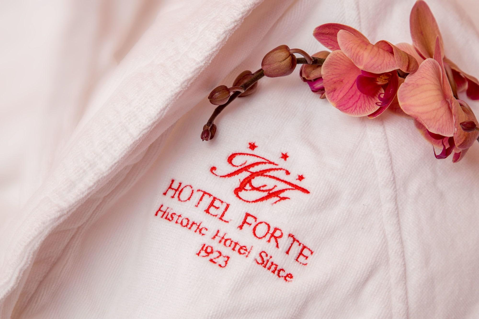 Hotel Hotel Forte