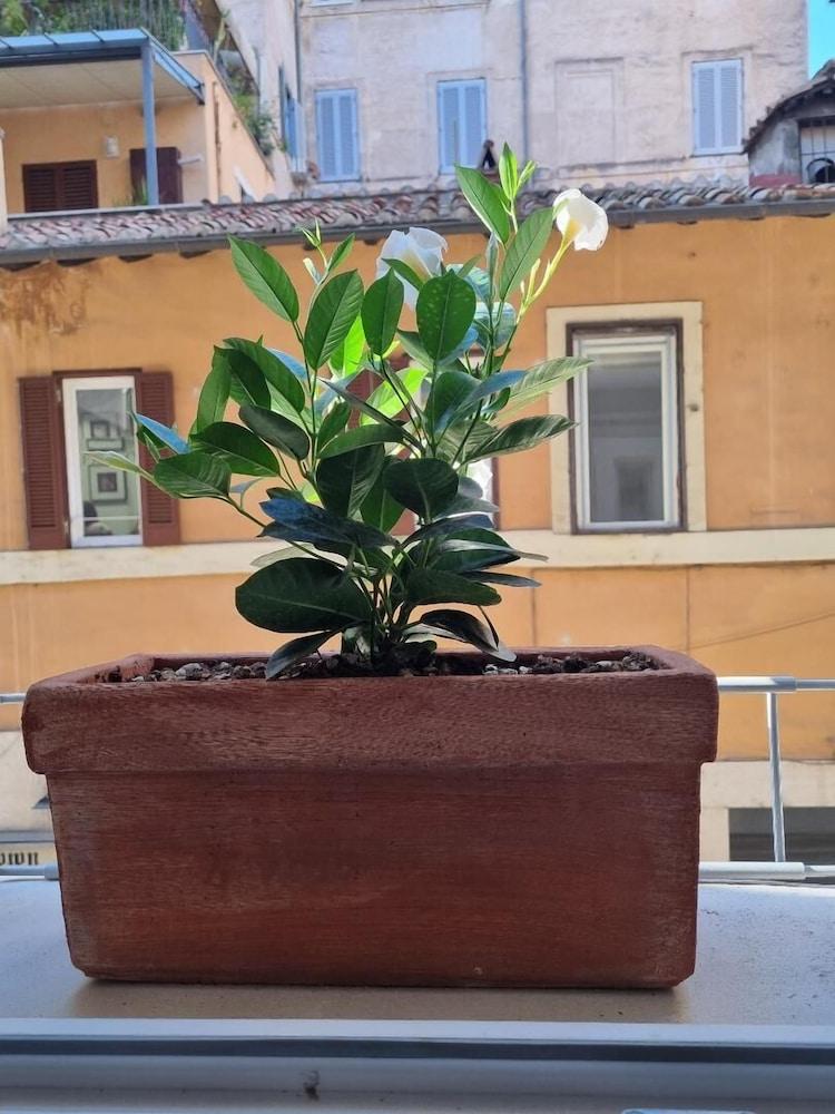 Town House Spagna 2* Roma