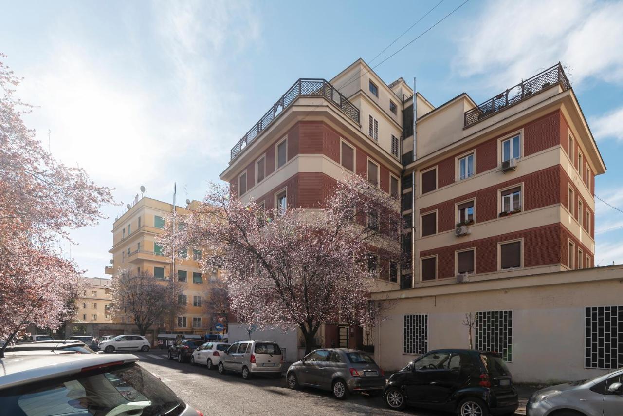 Mm Cipro Flat * Roma