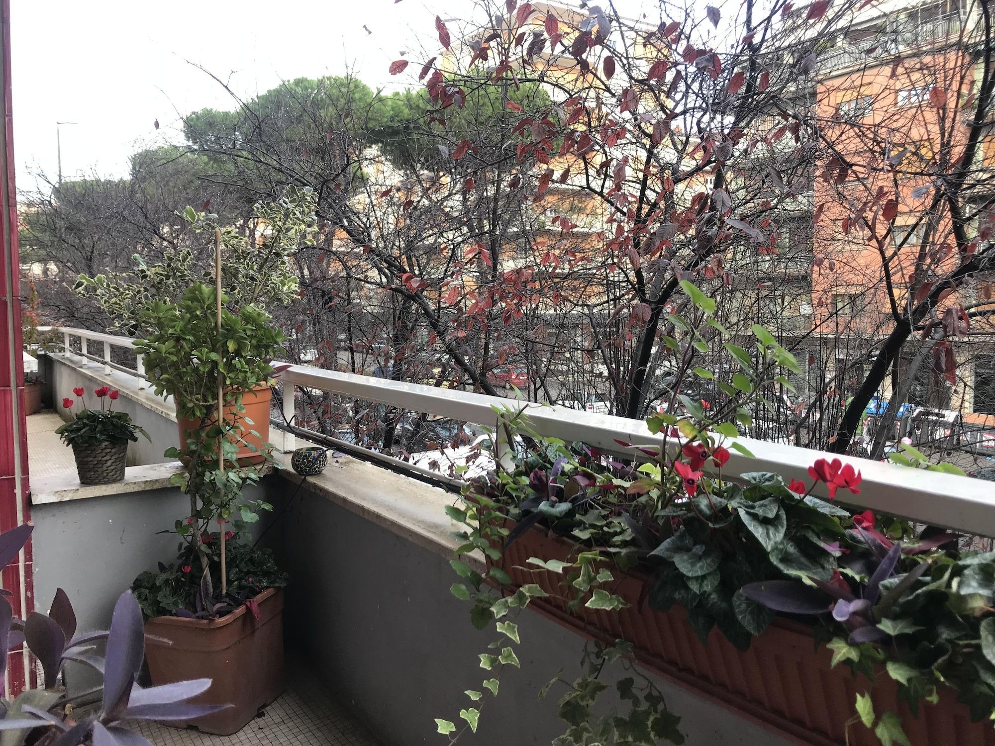 Gasthof Casa Mia Vaticano Rom