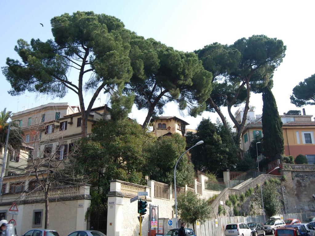 Tassoni Roma
