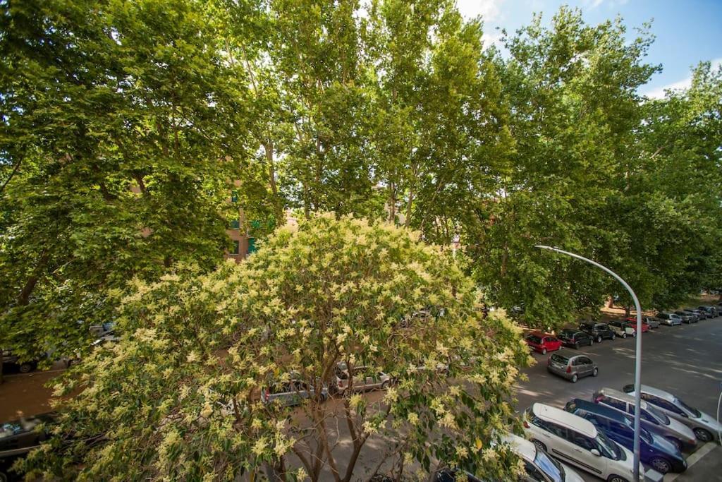 Apartamento Great In Great Location -