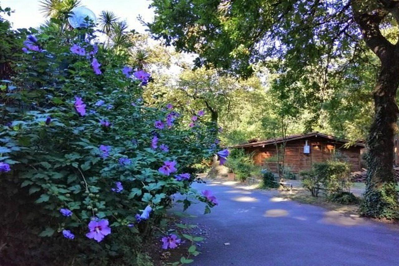 Seven Hills Village Campeggio Roma