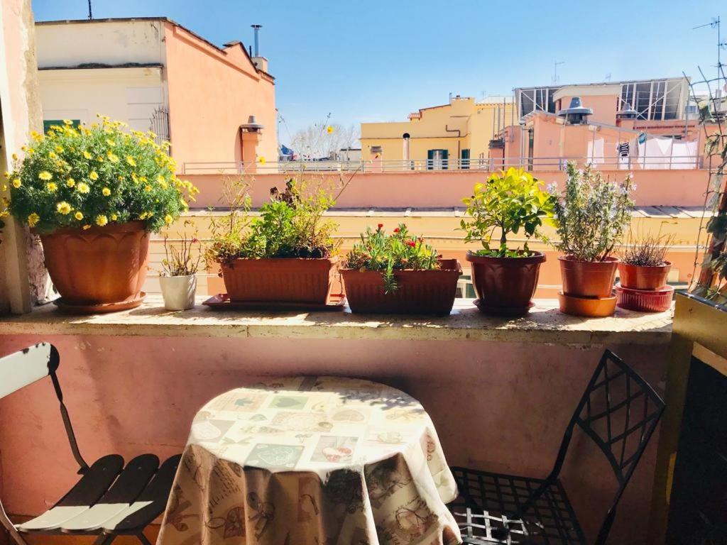 Affittacamere Green Guesthouse