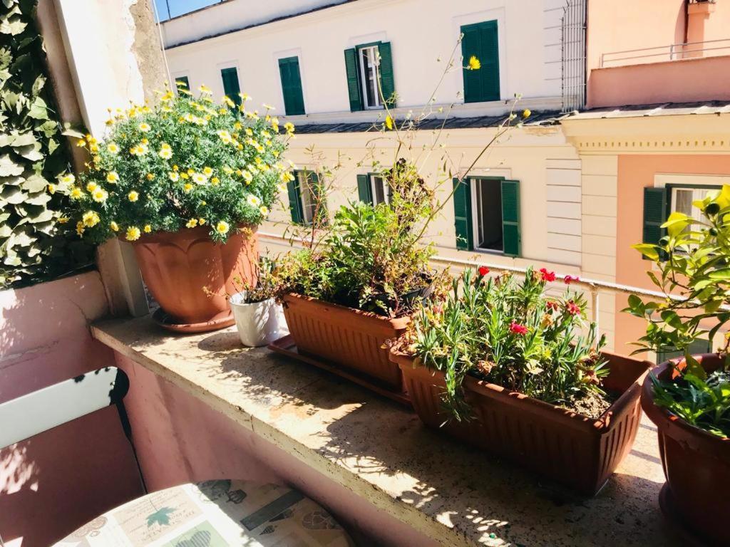 Green Guesthouse Affittacamere *