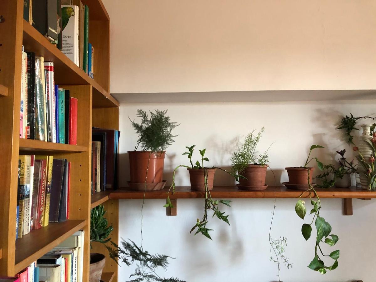 Lizartgarden Panoramic Hospedagem domiciliar