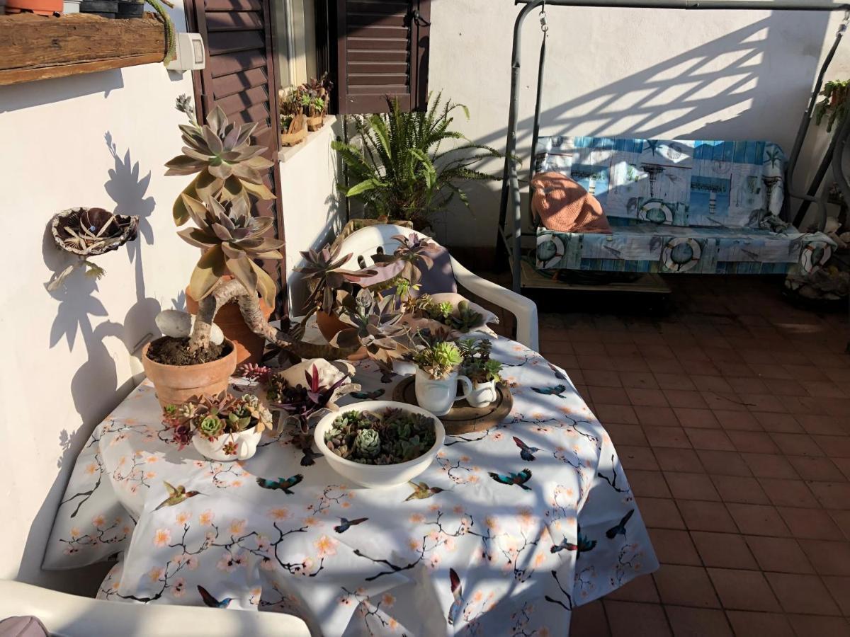 Hospedagem domiciliar Lizartgarden Panoramic