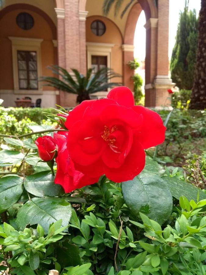 Casa S. Giuseppe Di Cluny Roma