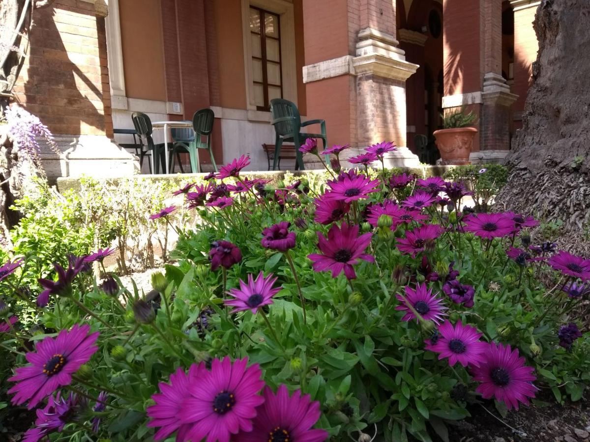 Casa S. Giuseppe Di Cluny Acomodação com café da manhã 