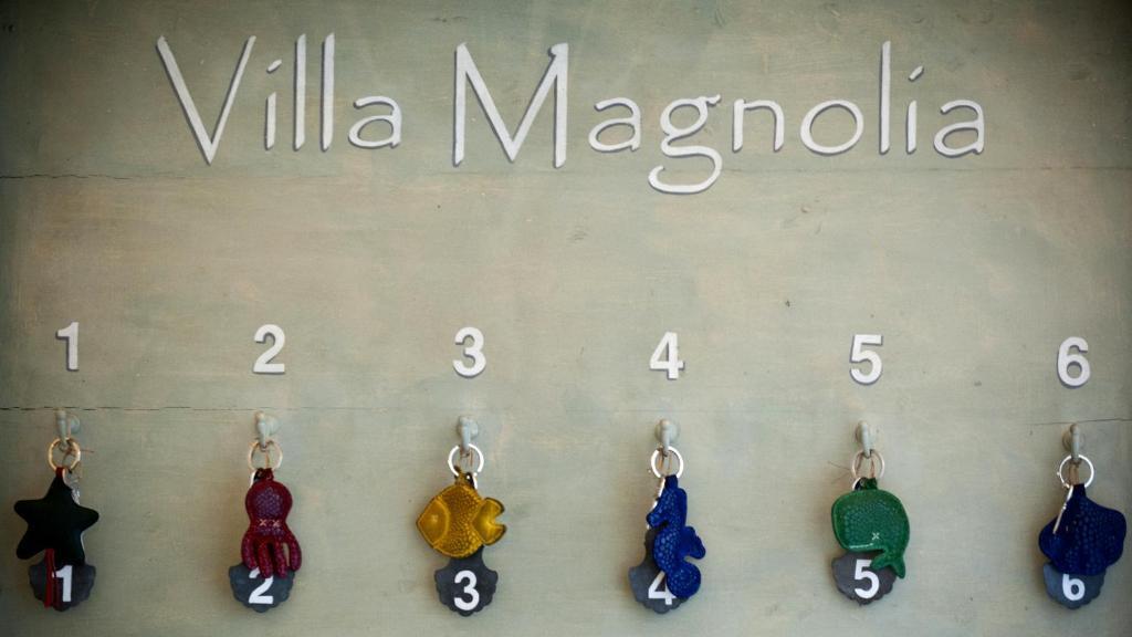 Bed & Breakfast Magnolia Relais Roma