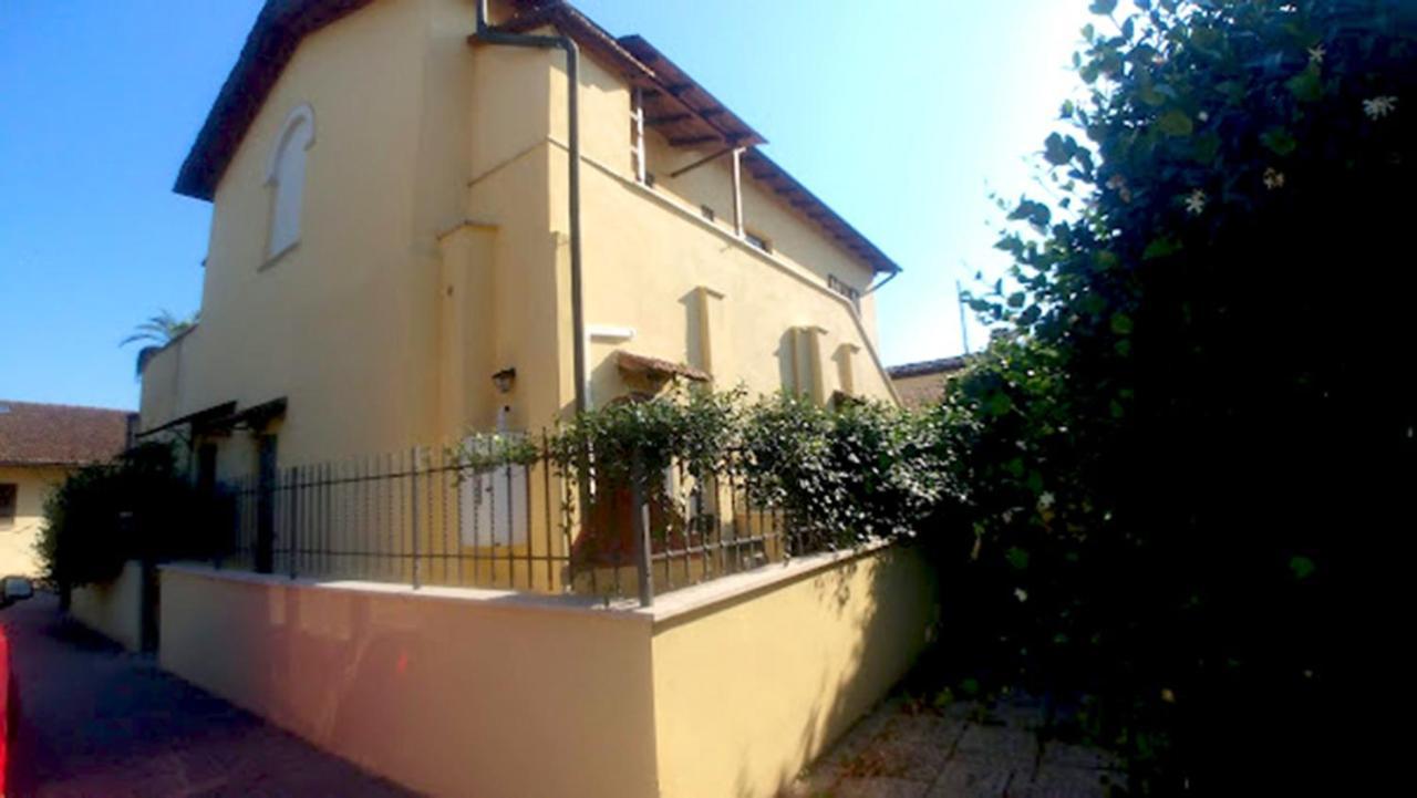 Leda's Roma