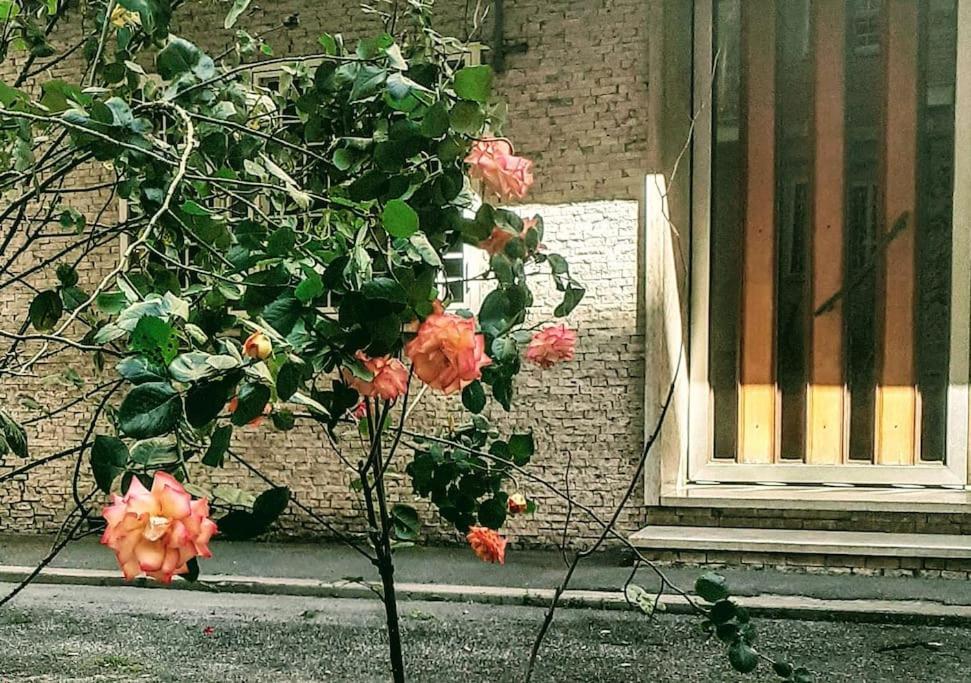 Casa Rosi Appartamento *