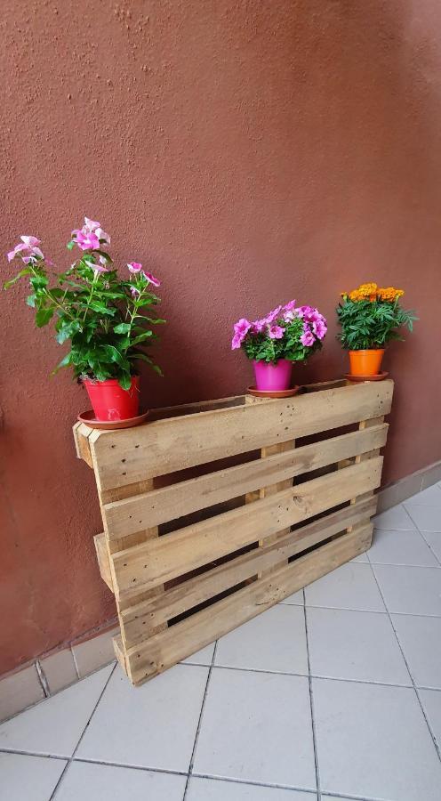 Chic 'n Charme Trastevere Terrace 2 Apartamento