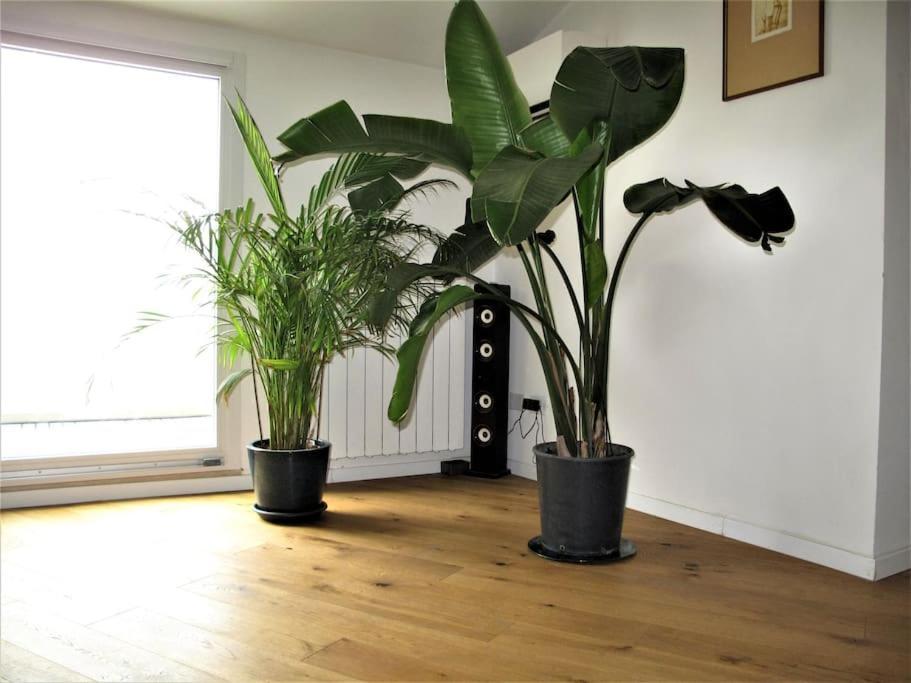 Apartamento Prati Fiscali Penthouse