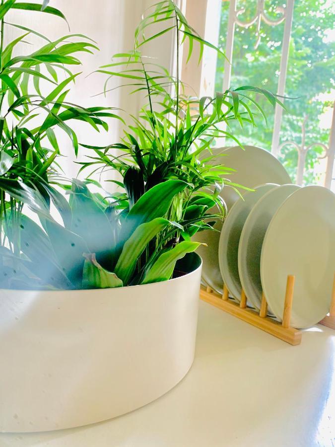 Plant House Eur *