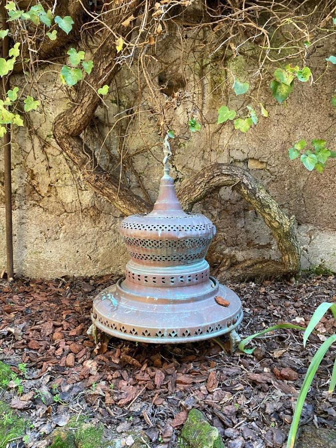Trastevere Oasi Garden - *