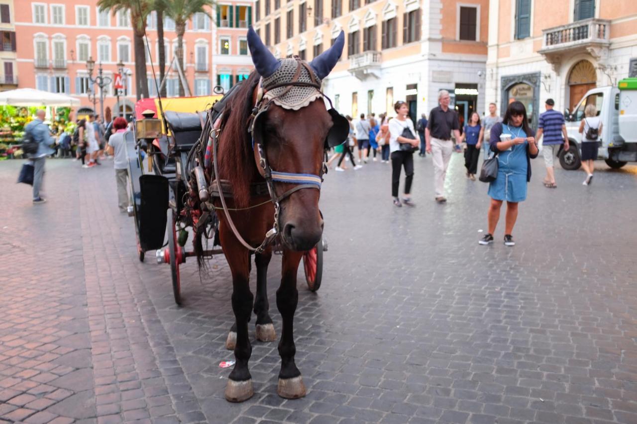 Joivy Trevi Fountain's Relais Apartamento