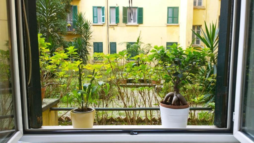 In-love Apt Apartamento *