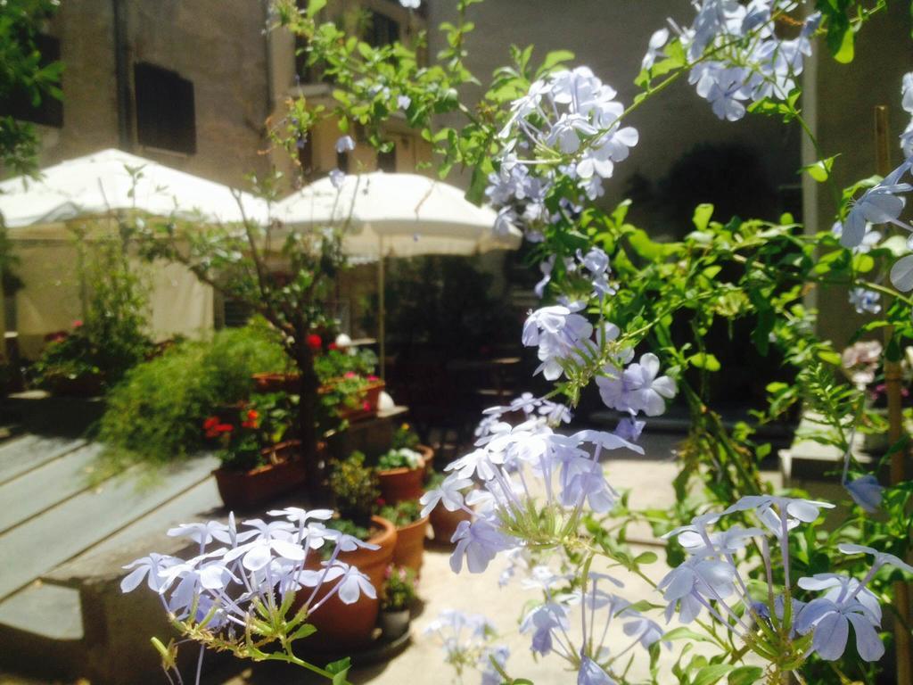 Giardino Del Corso *