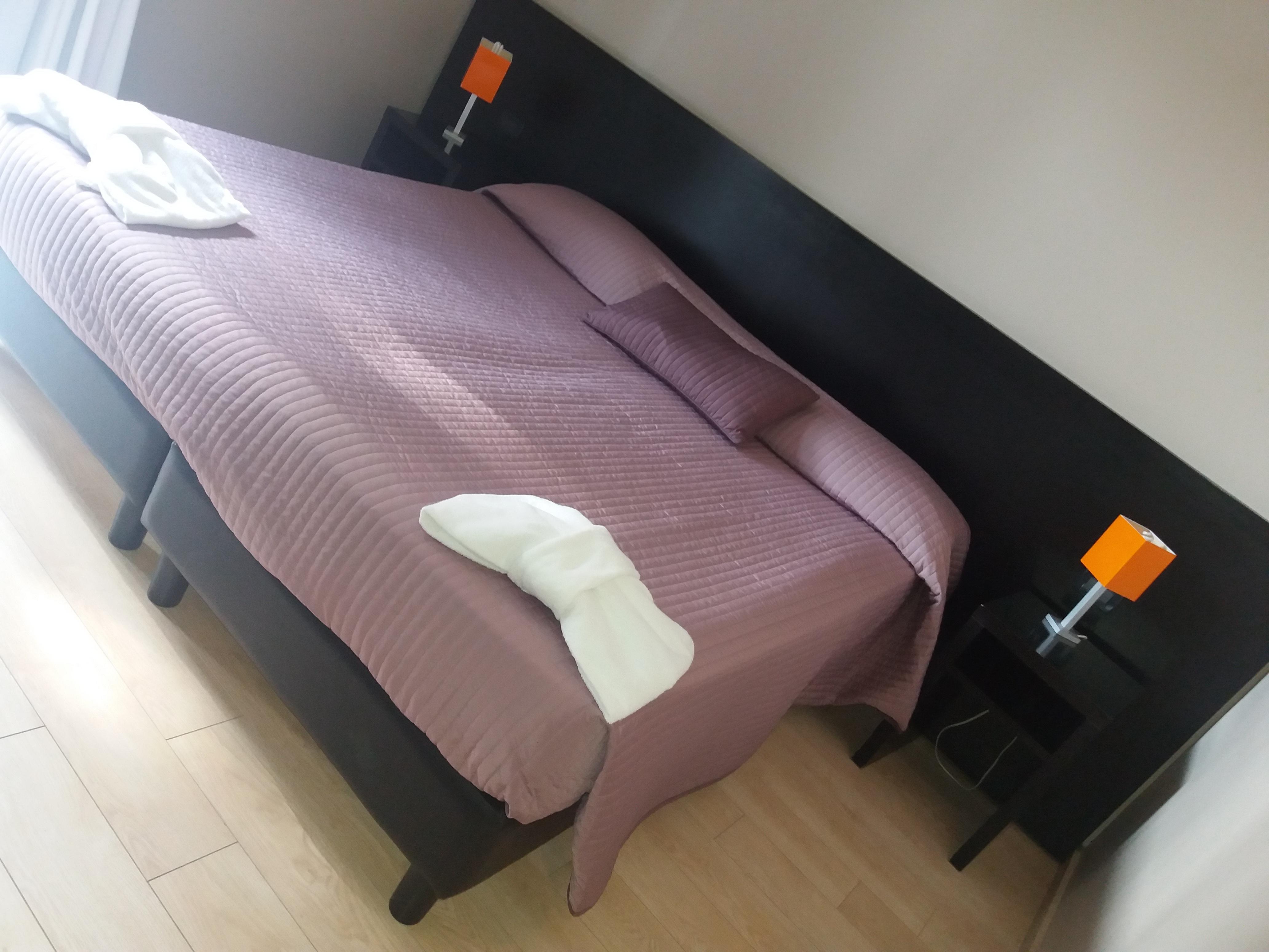 Hotel Aniene Roma
