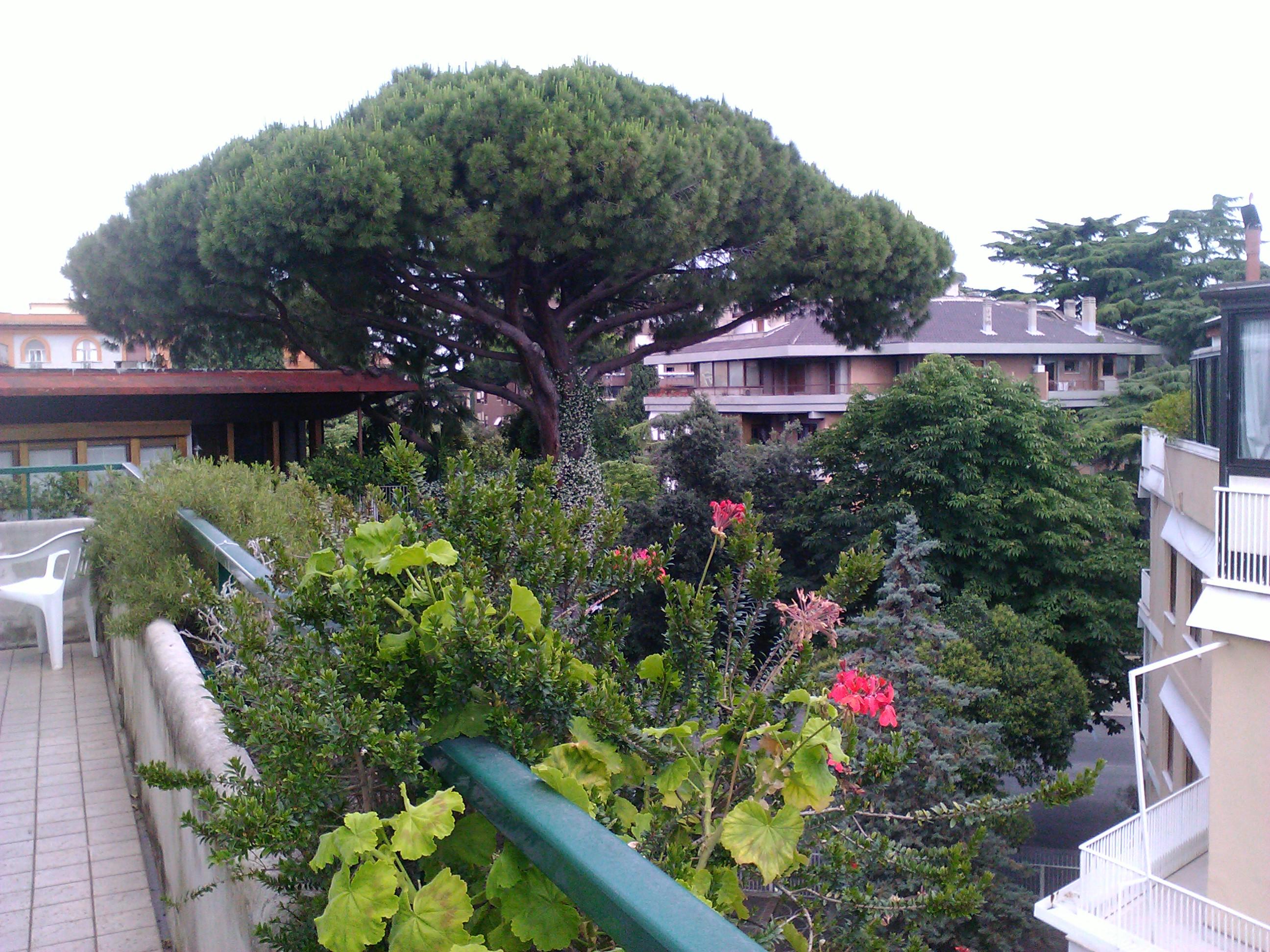 Prati Roma