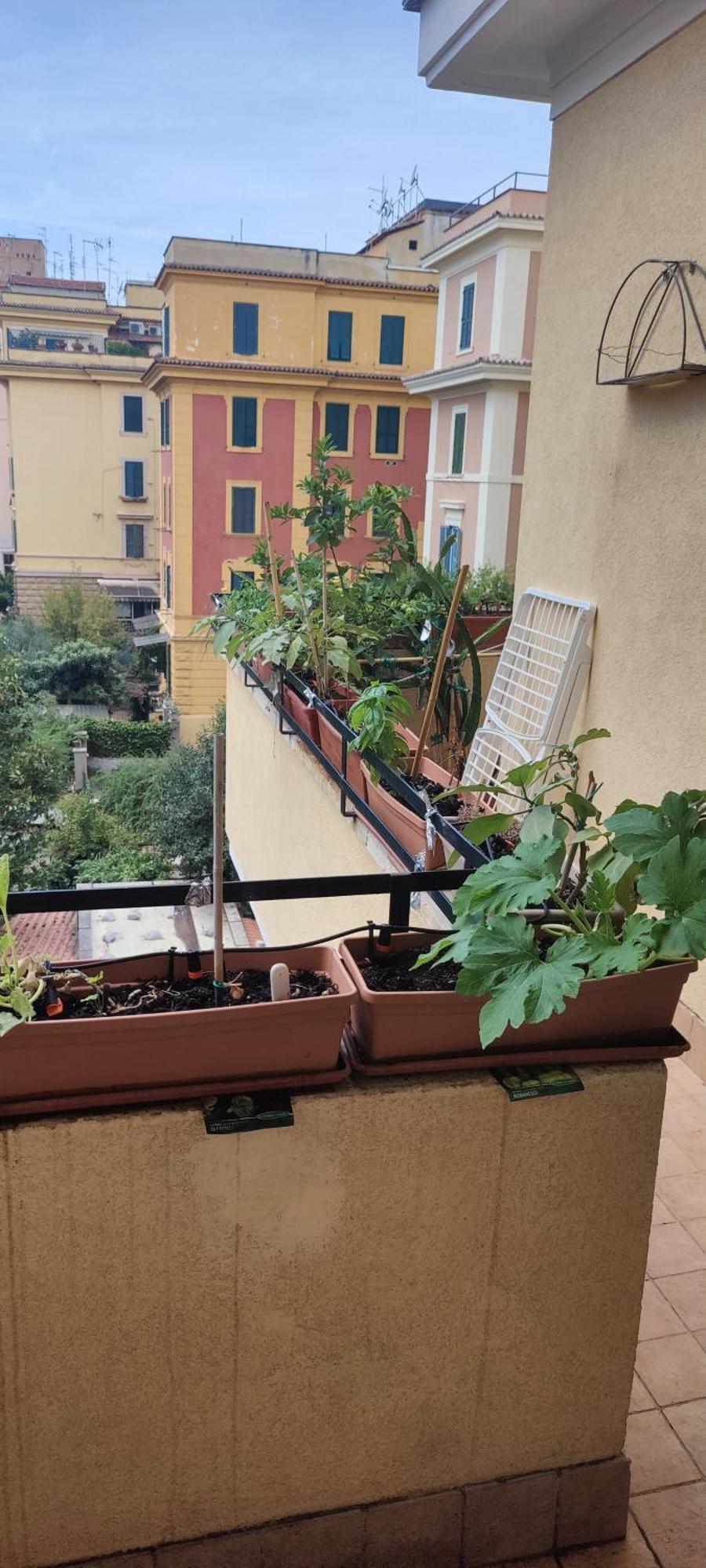 Privatunterkunft Camera Piazza Bologna *