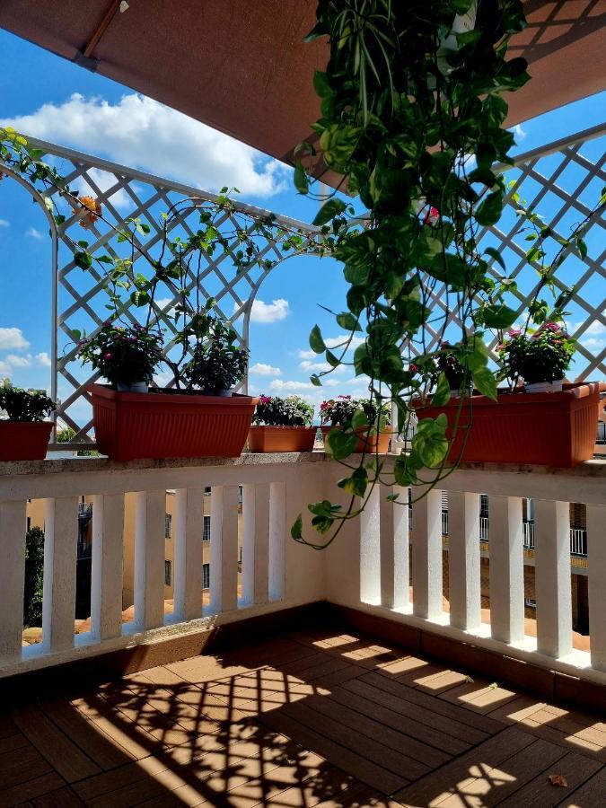 Appartamento Carpegna 92 Wellness E