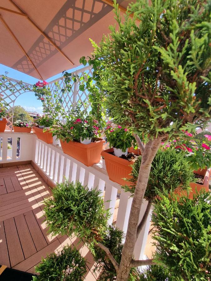 Appartamento Carpegna 92 Wellness E Roma