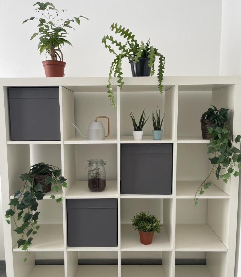Apartamento Ami House