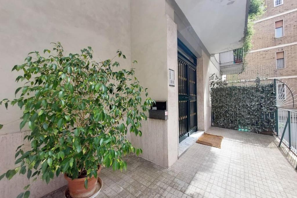 Relax With 2 Balconies - 2 Bedroom Flat, 3rd Floor With Lift, High Comfort, Quite, A Walk From Urban Train Station Gemelli And Metro A Stops Battistini & Cornelia Connecting To Center In 20 Minutes, 2 Steps From Bus Stop, Cycle Path, Groceries Leilighet