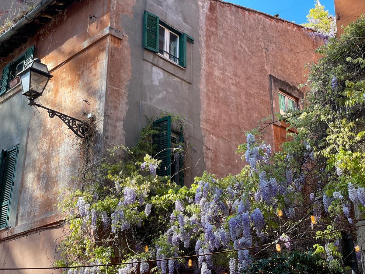 Apartamento La Chiostrina Al Cedro