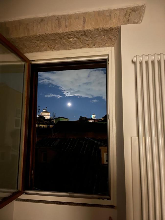 Cosy Reginella Roma