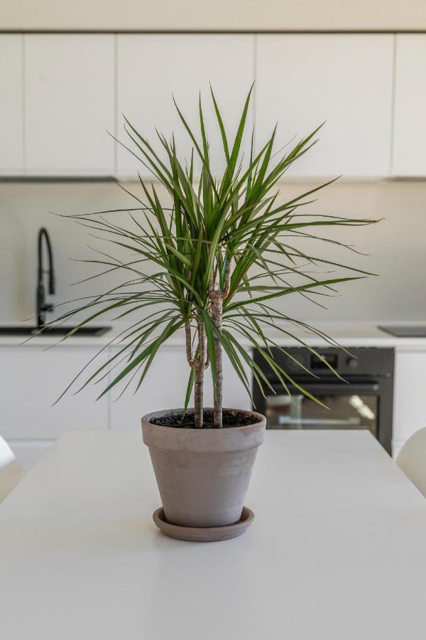 Apartment La Dolce - Sunny Penthouse Trastevere Station 100sqm *