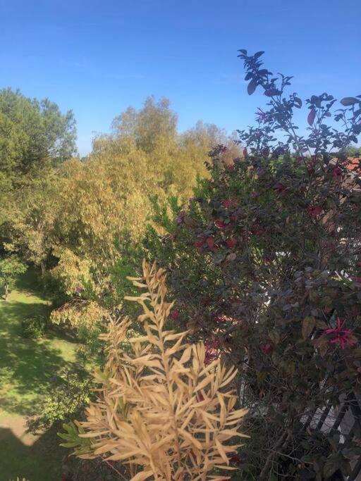 Casa Incantevole Con Vista Parco Appia Antica Casa de Férias *