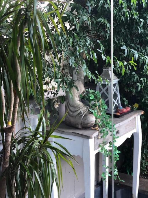 Bed & Breakfast Favoloso Con Giardino