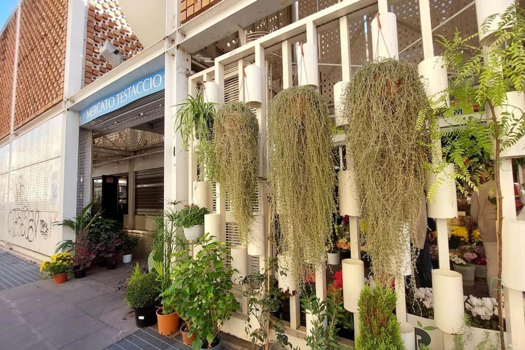 Casa Testaccio Leilighet
