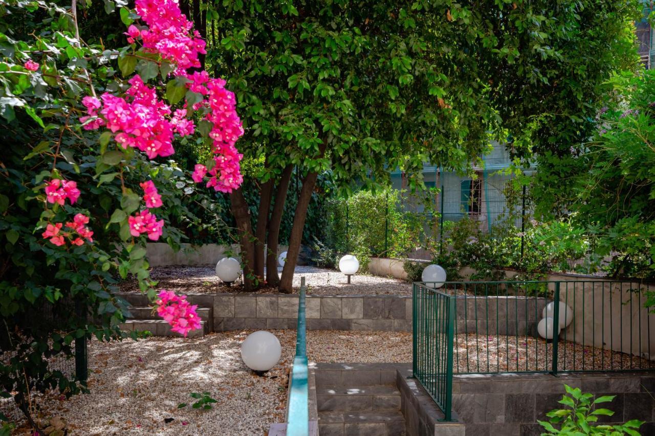 Tarshito Gallery House Gjestgiverier Roma