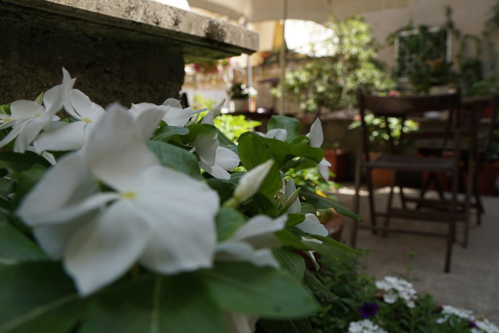 Bed & Breakfast Giardino Del Corso