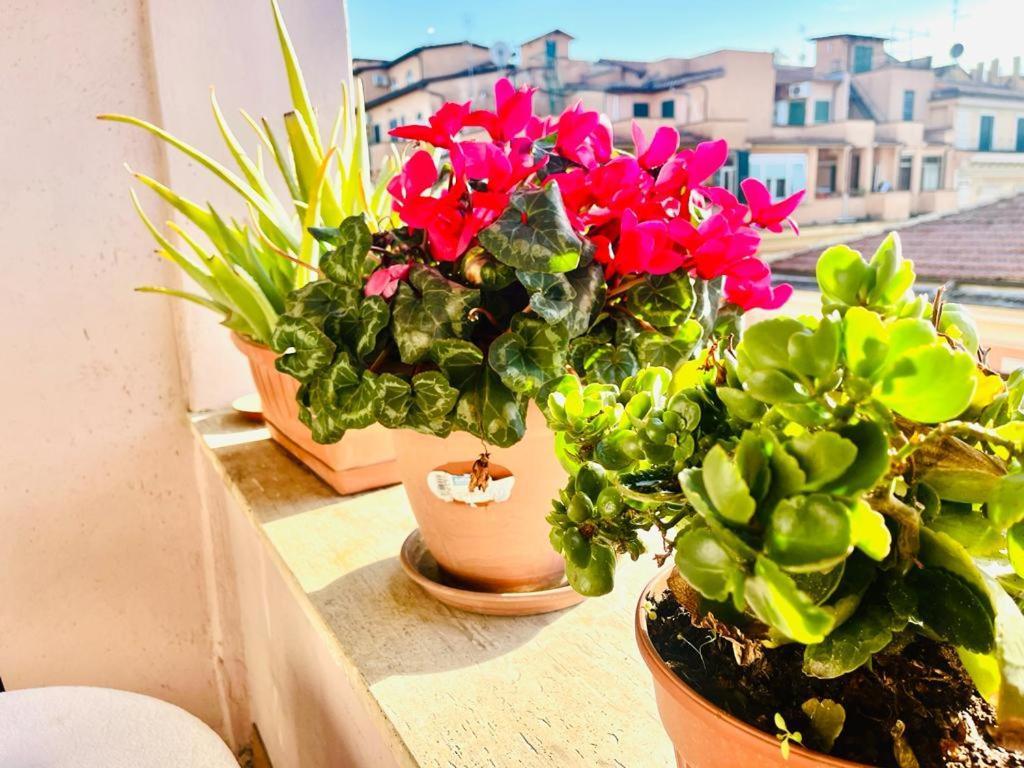 Affittacamere Green Guesthouse *