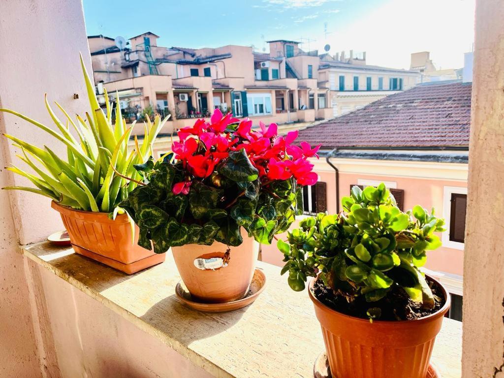 Affittacamere Green Guesthouse