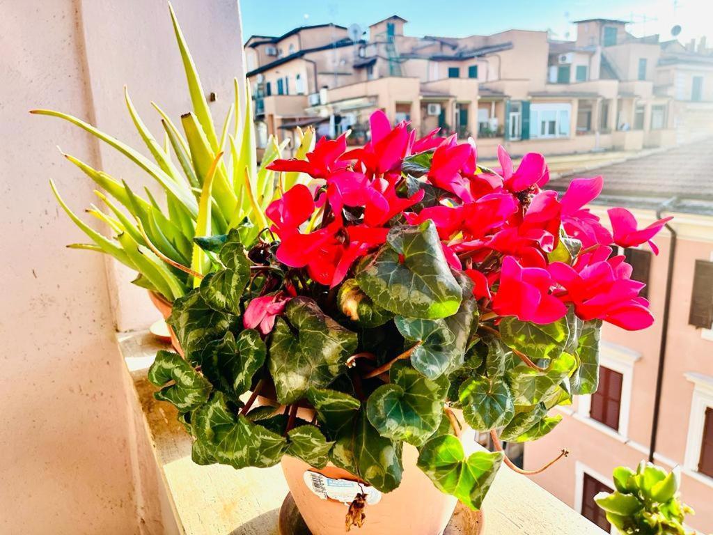 Affittacamere Green Guesthouse