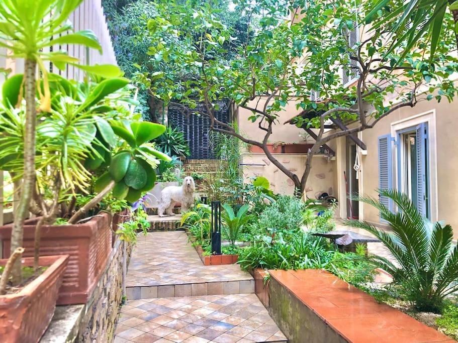 Isola Roger - Con Giardino A Casa de Férias *