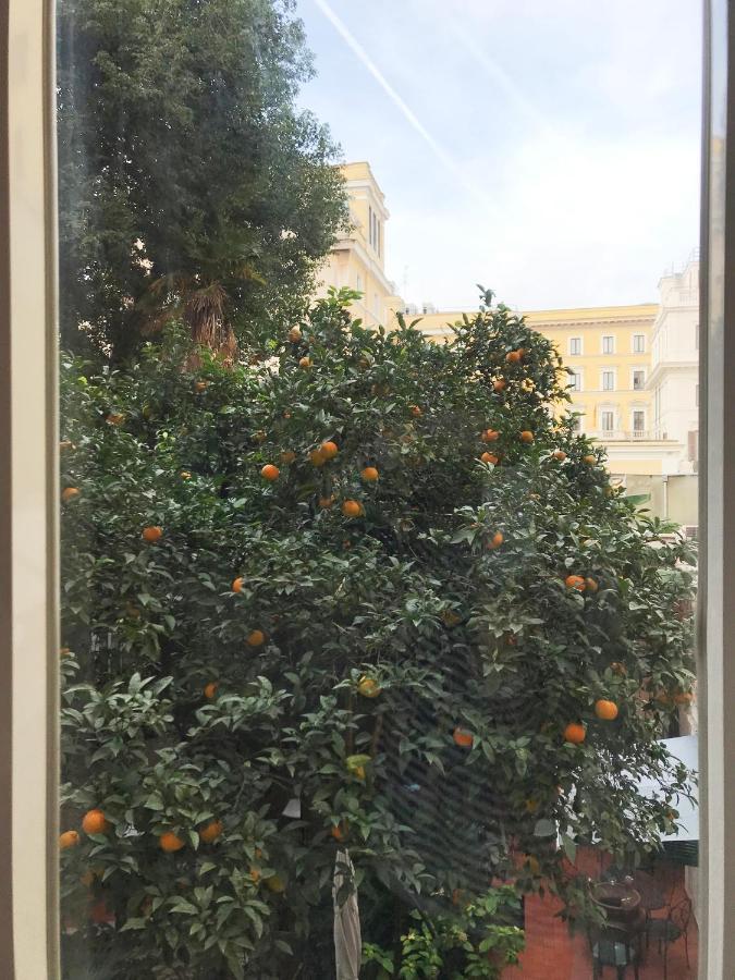In Easy Life Roma