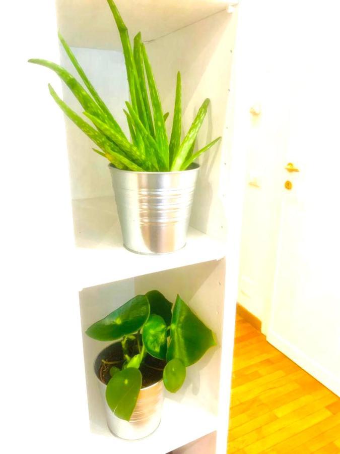 Ferienhaus Plant House Eur Rom