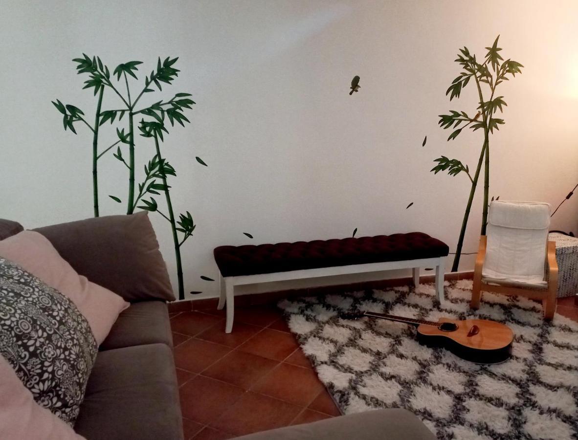 Openspace Con Free Parking Apartamento *