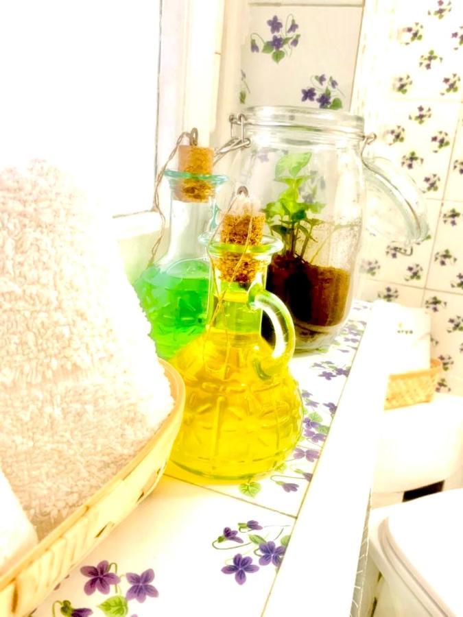 Plant House Eur Rom