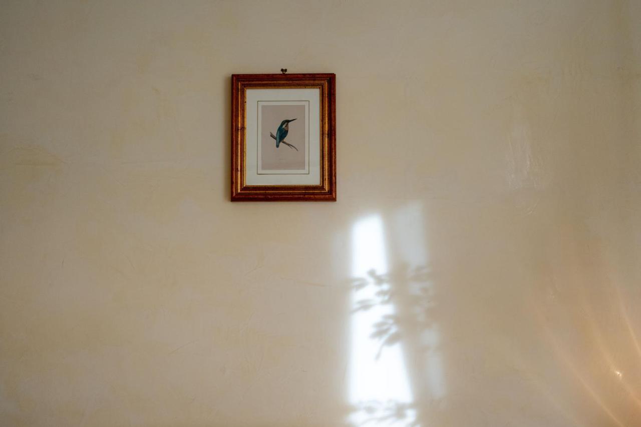 Ampio Con Vinili In Centro Storico Leilighet